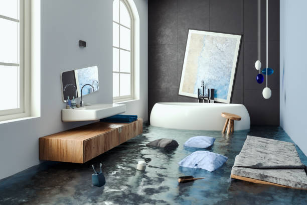 Best 24/7 water damage repair  in Lake Elmo, MN