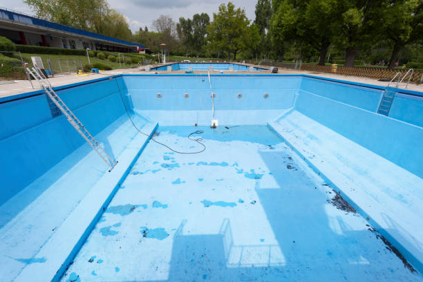 Best Water damage cleanup near me  in Lake Elmo, MN