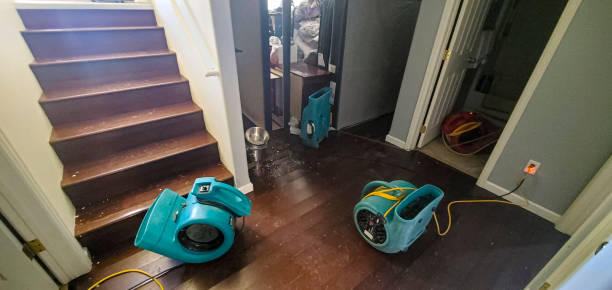 Best Residential water damage restoration  in Lake Elmo, MN
