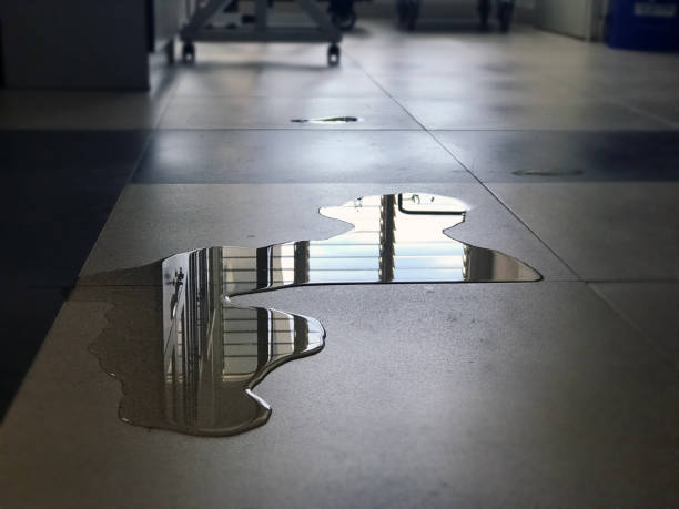Best Water damage restoration services  in Lake Elmo, MN