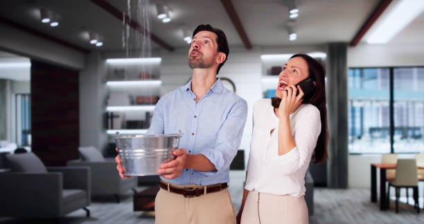 Best Fire Damage Restoration  in Lake Elmo, MN